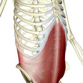 GettyImages-87307057-56a0601f3df78cafdaa14e0c