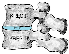 image00001-2 copy.png