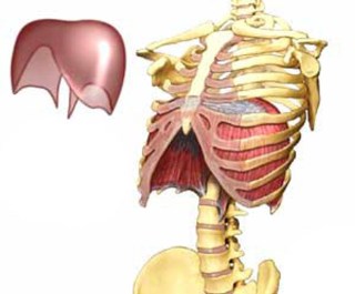 24e4eb_affa6dfcd1614ce28a55131945a94ce7~mv2